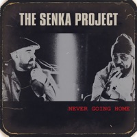 Never Going Home - Single - The Senka Project, Dub Phizix & DRS
