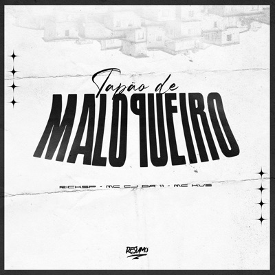 Tapão de Maloqueiro - Single