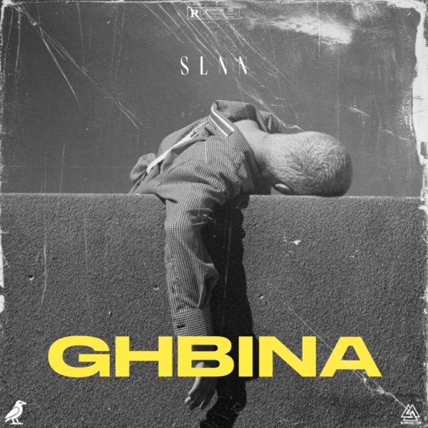 SLNN - GHBINA