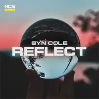 Reflect — SYN COLE