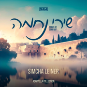 Am Yisrael Chai (feat. Shua) - Simcha Leiner