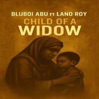 Child of a Widow (feat. Lano Roy) - Single - Bluboi Abu