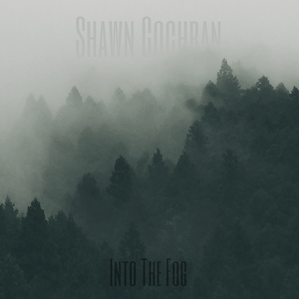 Обложка альбома «Into the Fog - Single» — Shawn Cochran & AKD
