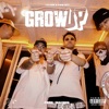 Grow Up - Single