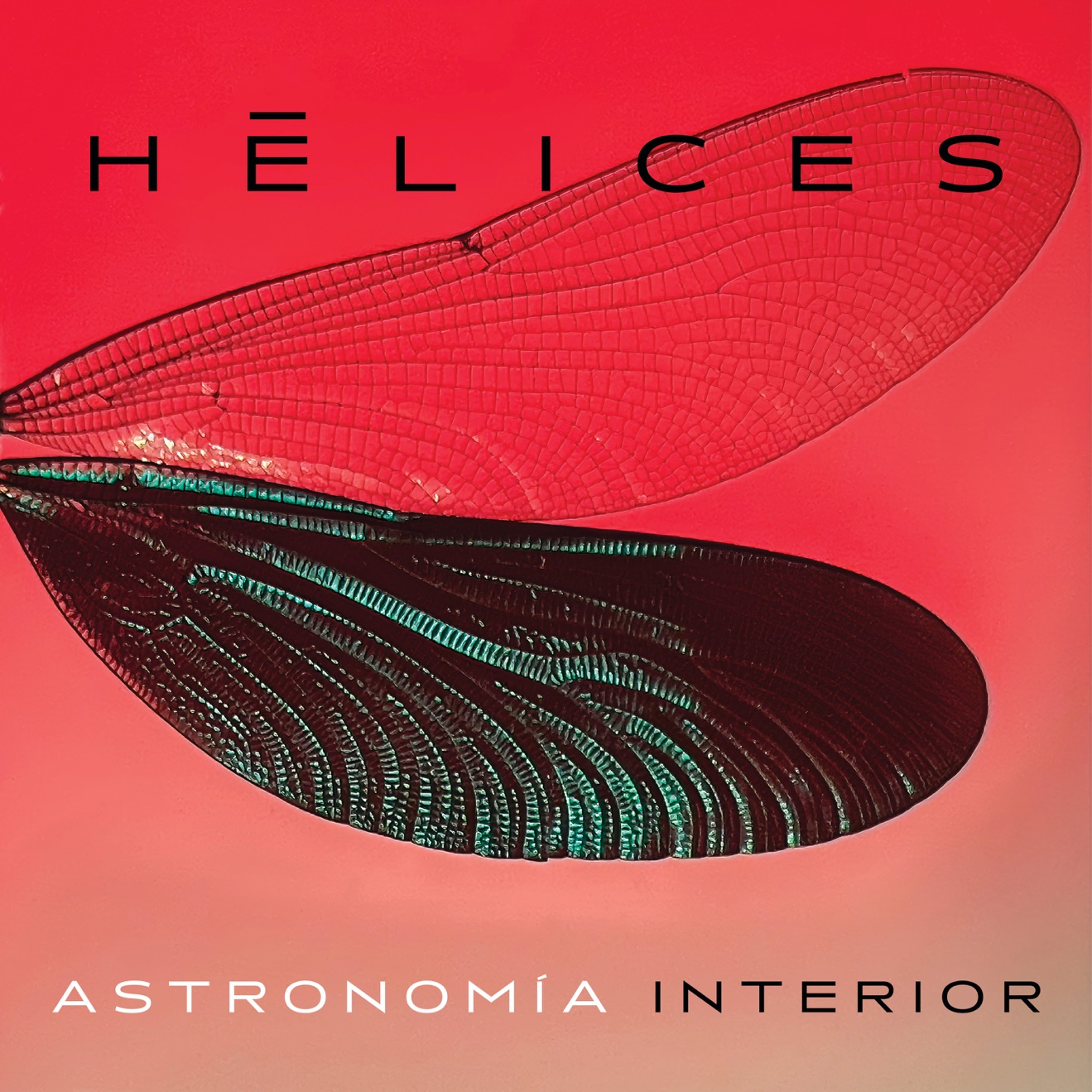 Astronomía Interior – Hélices (2025) [iTunes Match M4A]