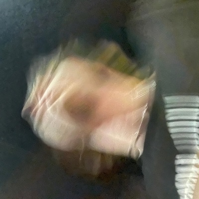 Bitches Love Bong Rip's! - Single