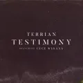 Testimony