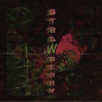 strawberry - Single - Warpwhistl