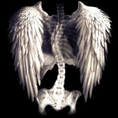 If I Could Fall - Single