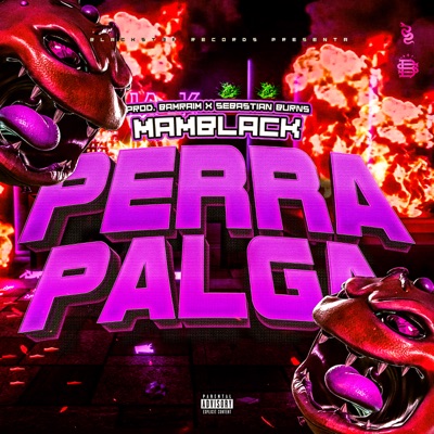 Perra Palga - Single