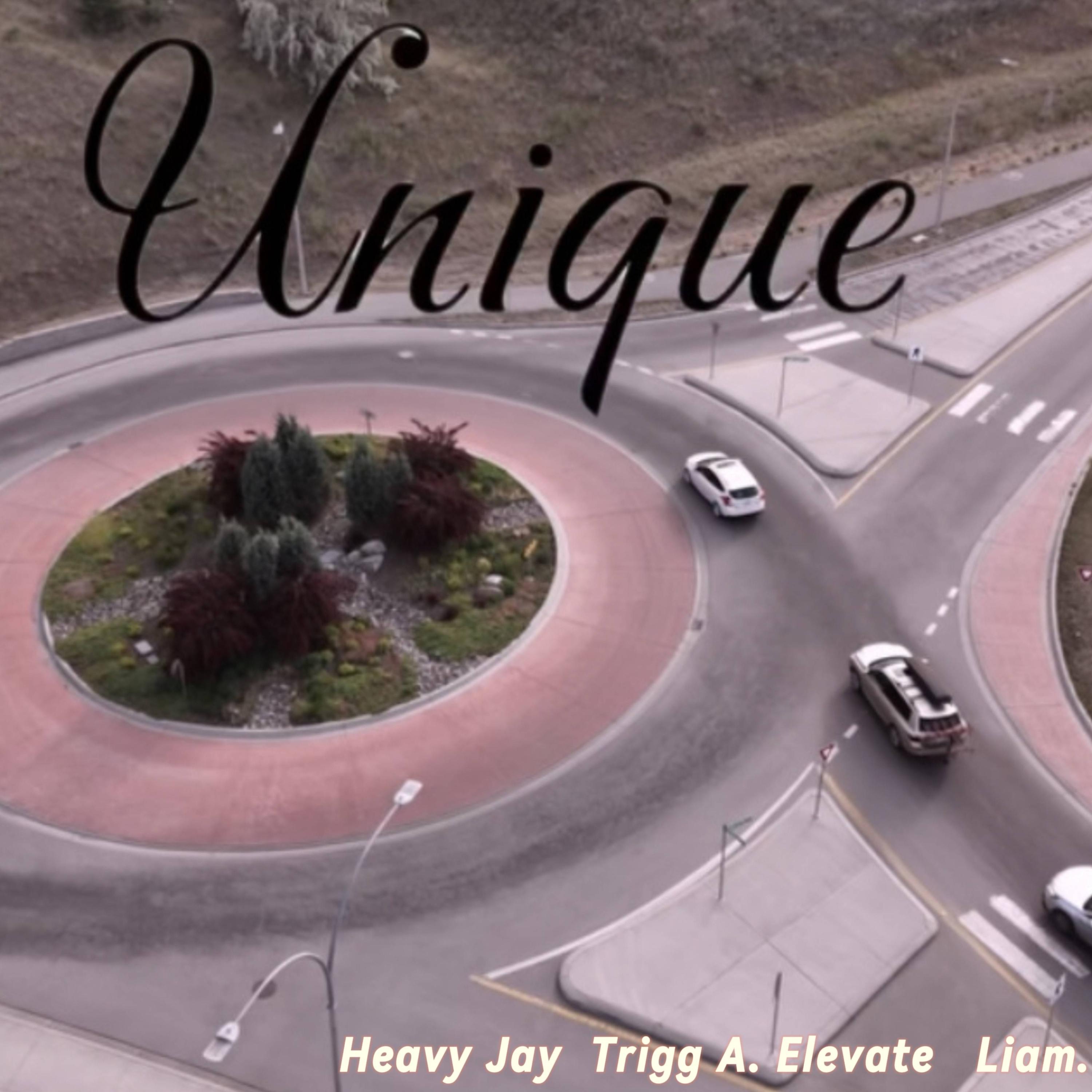 Unique (feat. Liam. & Trigg A. Elevate) - Single by Heavy Jay album cover