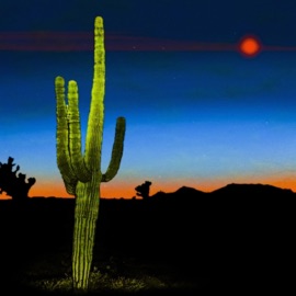 BLANK GOTNOTIME & j'san