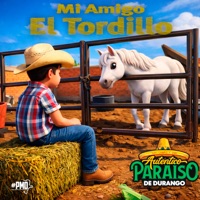 Mi Amigo el Tordillo - Single - Autentico Paraiso De Durango