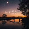 Raouf Morsy - موسيقى الشجن artwork