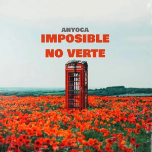 Imposible No Verte