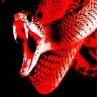 DOLOR, ENGAÑOS, TRAICIÓN e inseguridad, GOD CURSED YOU (Radio Edit) - Single - J Ro$E