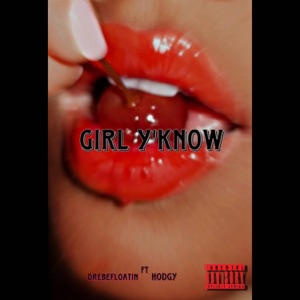 Girl Y'Know (feat. Hodgy) - Single