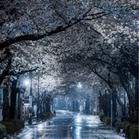 Hopeless - Single - WITCHERYSB, zhmykhovv & INTERIA!