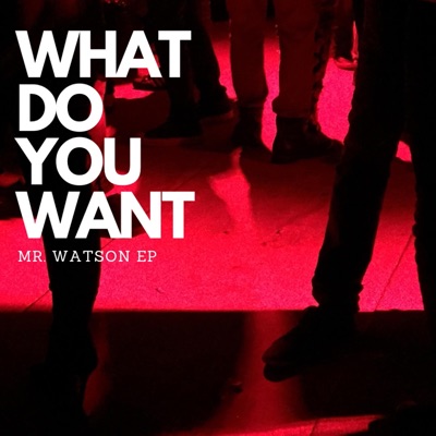 What Do You Want (feat. Josh Evans) - Single