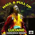 Haul And Pull Up