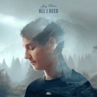 All I Need - Single - Jay Reeve