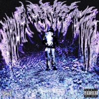 Drug Genie Two - Paydro2k