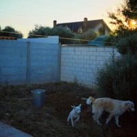 S lO k TnE ENaMOraRSE D uN G - EP - Sojar