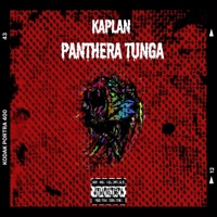 Tiger - Single - Kaplan