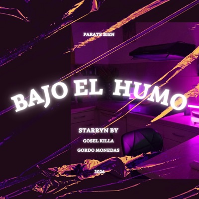 Bajo el Humo (feat. Gordo Monedas) - Single