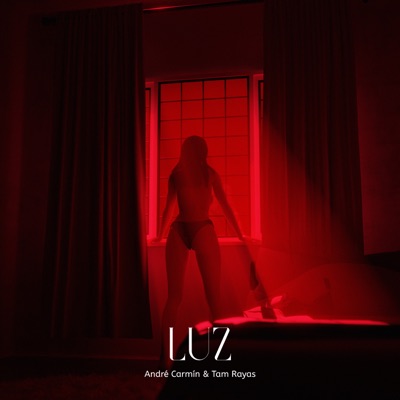 Luz - Single