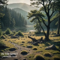In the Quiet - Single - Larkwood Falls