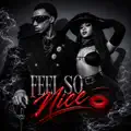 Feel so Nice