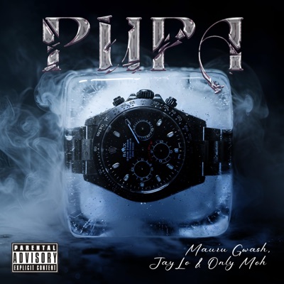 Pupa (feat. Mauru Gwash, JayLo & OnlyMoh) - Single