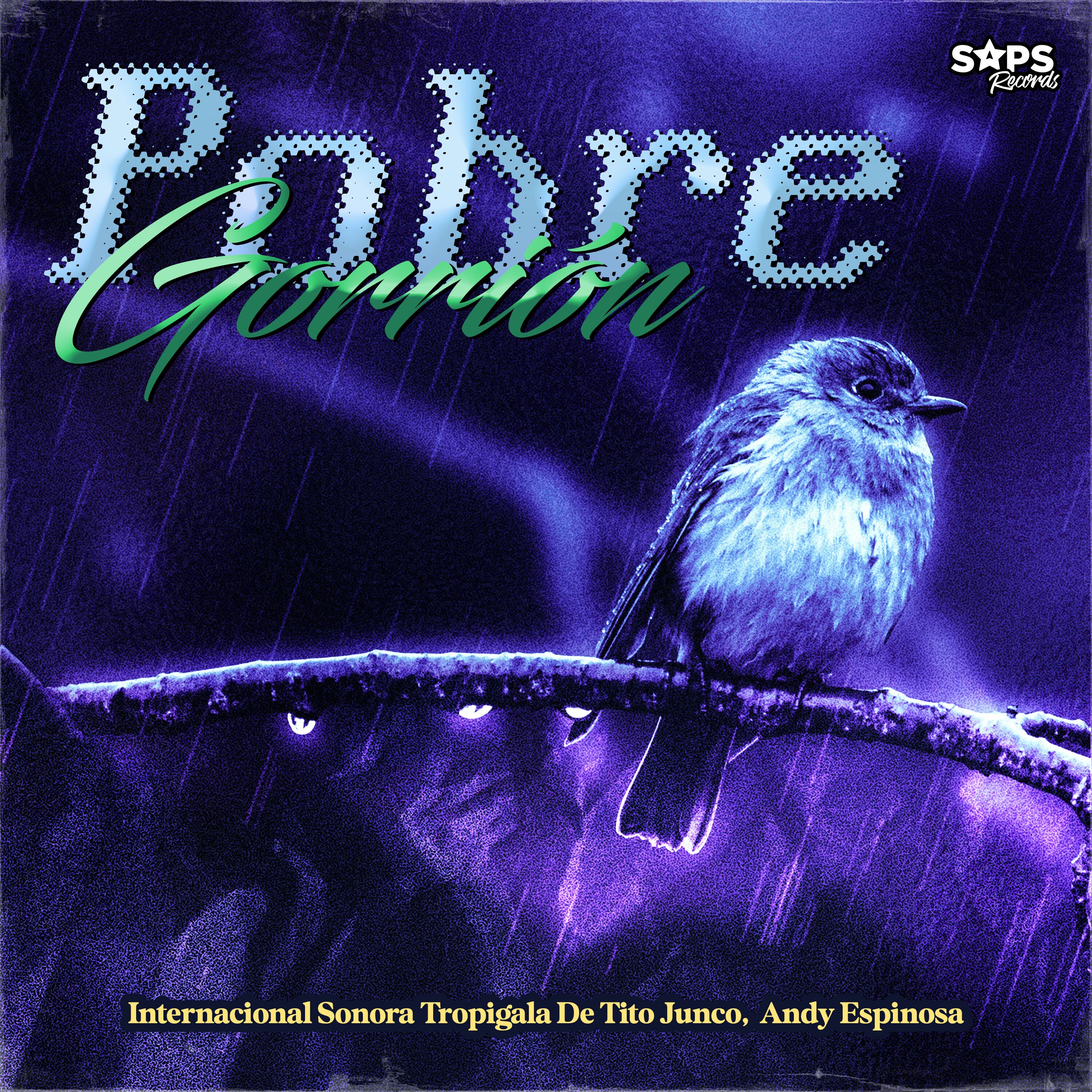 Pobre Gorrión - Single