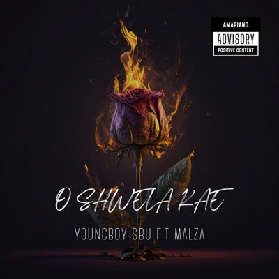 O Shwela Kae (feat. Malza) - Single