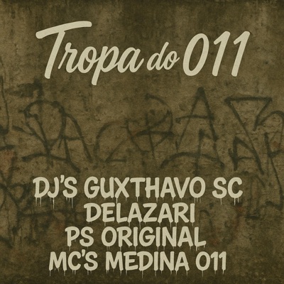 Tropa do 011 (feat. DJ PS ORIGINAL, Medinaa 011 & MC THR) - Single
