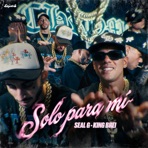 Solo para Mi (feat. KINGBREI) - Single