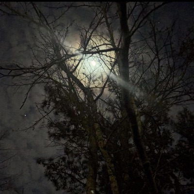 SORRY I CHOSE A DIFFERENT ROUTE