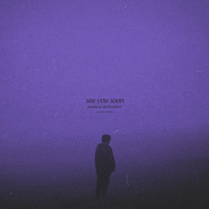 see you soon (slowed + reverb)