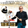 Lágrimas De Oro (feat. Edwin Lebron & Willie Panama) - Ramses Araya