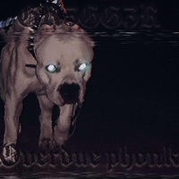 Overdue Phonk - Single - GR3GG3R