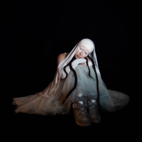 Yin Yang - Single - beam nova & WQLFF