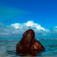 Enthralling (Extended) - Ranaj