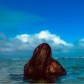 Nights Like These Ranaj