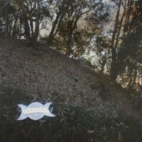 WICCAN EP (feat. Qlippothic Oracle) - Vantana Row