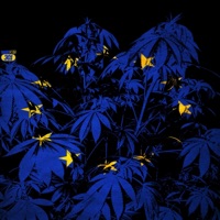 europe (feat. tenkay & con) - Single - Priice