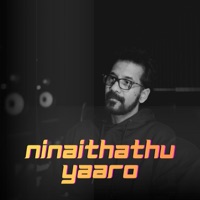 Ninaithathu Yaaro - Single - Srivijay Ragavan