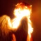 sariel (ultra slowed) - PUNXO lyrics