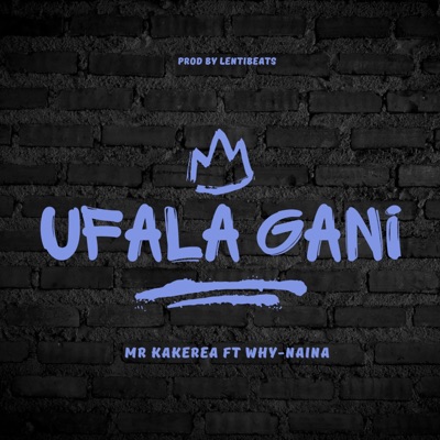 Ufala gani (feat. Mr kakerea & Why Naina) - Single