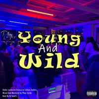 Young And Wild - Single - Pkay Lordy